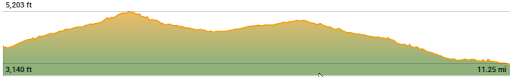 Day 9 chart