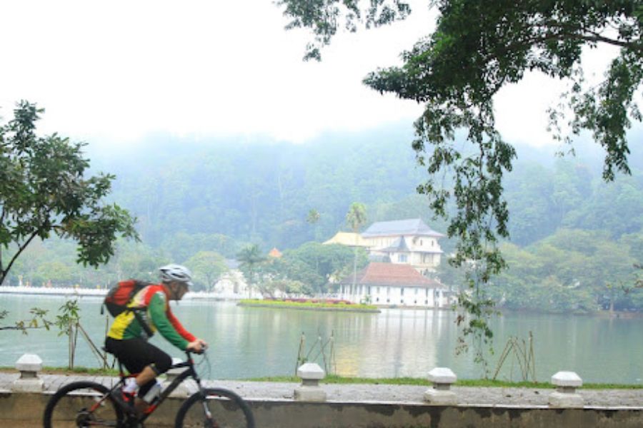 Getting experience during their cycling tour